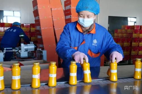 冬博會開幕在即 青河縣各參展企業(yè)已準(zhǔn)備就緒