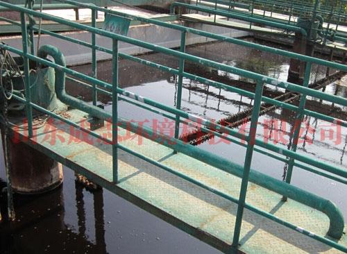 可為用戶提供方案咨詢,工程設(shè)計,技術(shù)服務(wù),設(shè)備制造,安裝調(diào)試及凈水劑